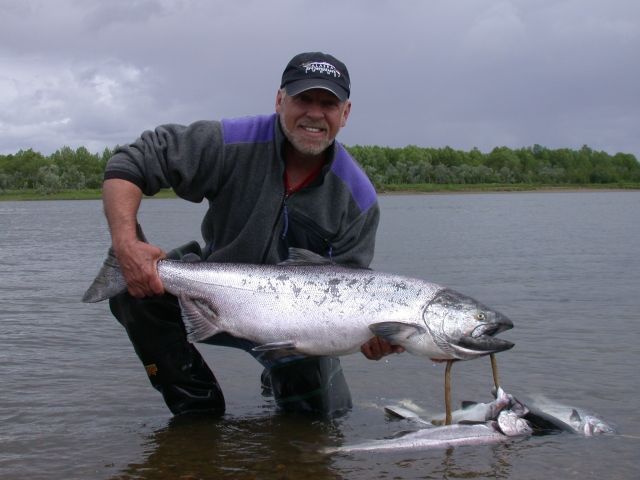 Jerry holding a king salmon on the Nushagak River
